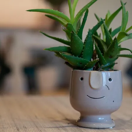 Juste A Cote - Duplex Confort *